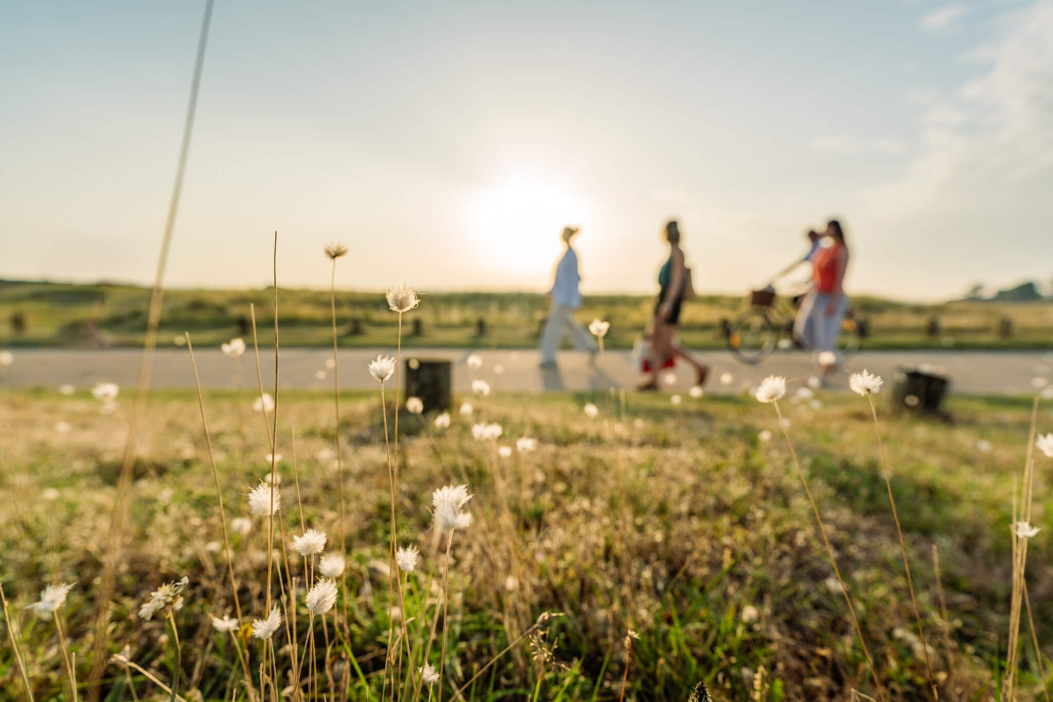 Pourquoi la vidéo est devenue l&rsquo;outil n°1 du tourisme en 2026 ?